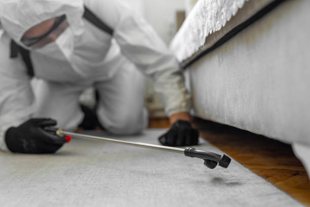 Professional Bed Bug Control technician working in Hopatcong, NJ