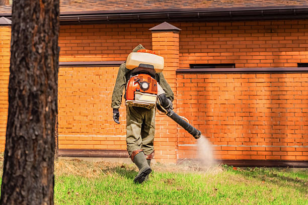 Trusted Bed Bug Control service in Hopatcong, NJ - Nex Pest Control